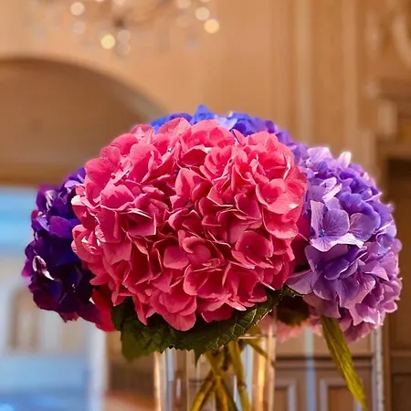 Malpensa 4* Vizzola Ticino